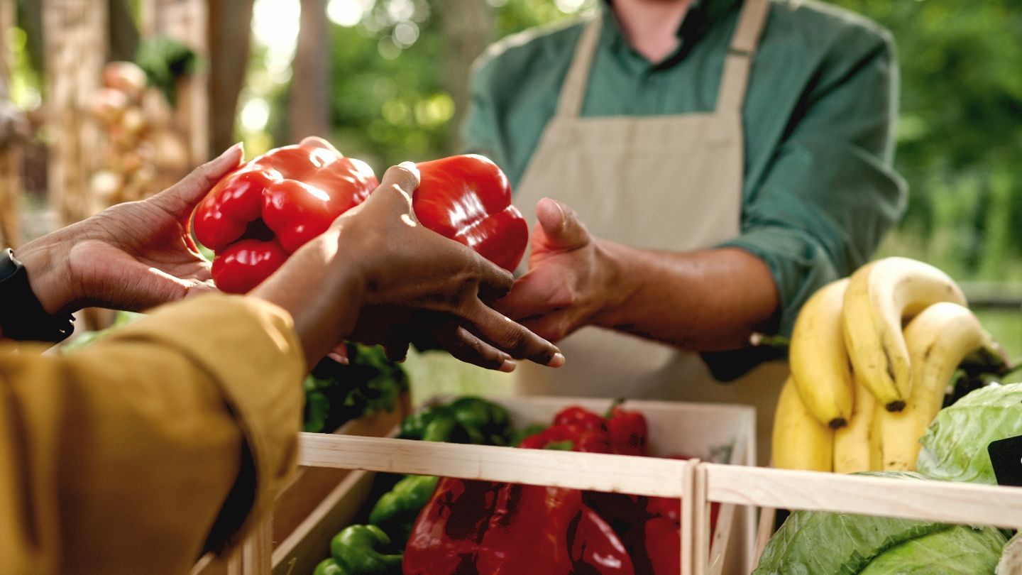 Fresh produce prepared for distribution.
